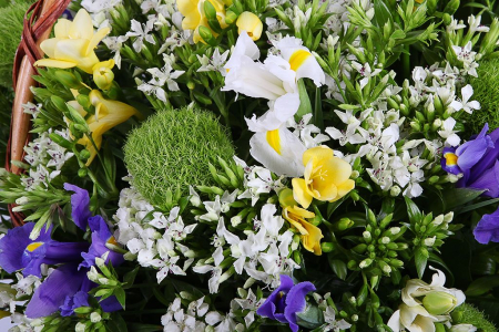 Букет Пока не наступит ночь