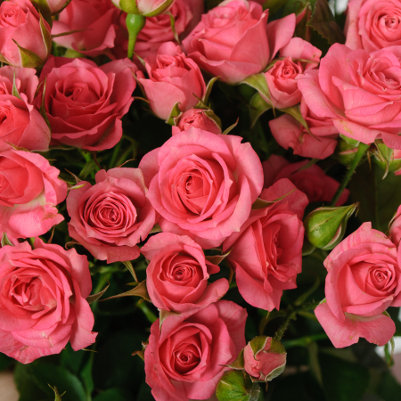 Букет 9 кустовых роз Лидия (50 см)