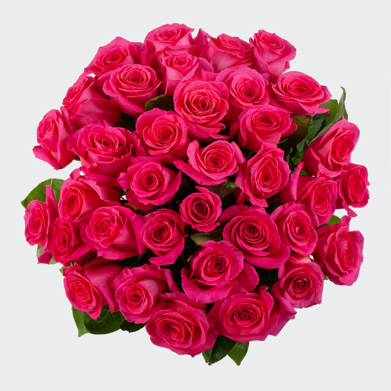 Букет 35 роз Пинк Флойд (Эквадор), 60 см