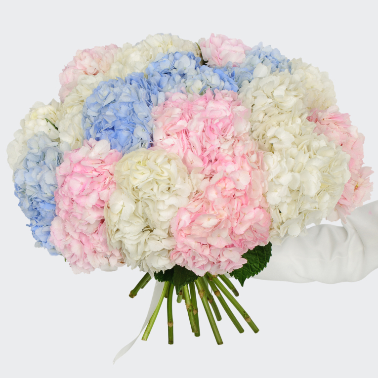 Букет 19 гортензий Цветочные облака