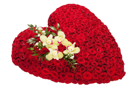 Букет Сердце из роз Премиум
