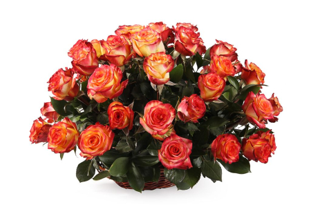 Букет 51 роза Хай Мэджик в корзине