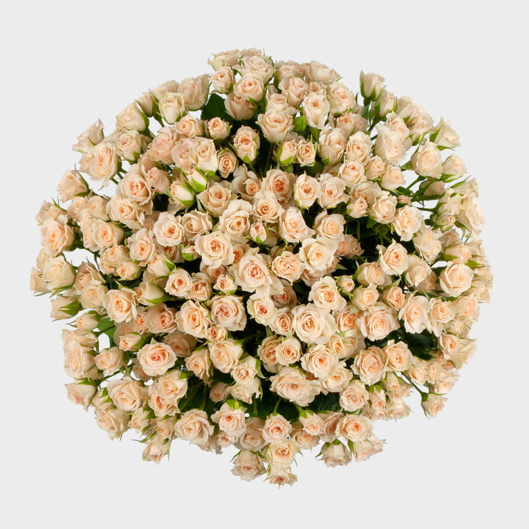 Букет из 51 розы Любовный десерт