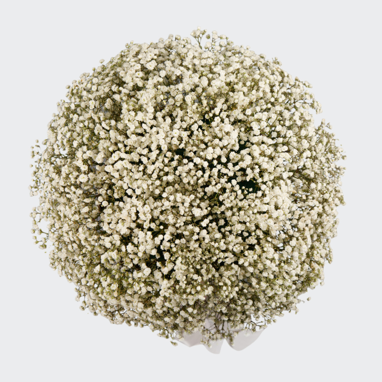 Букет в коробке Добрые сны