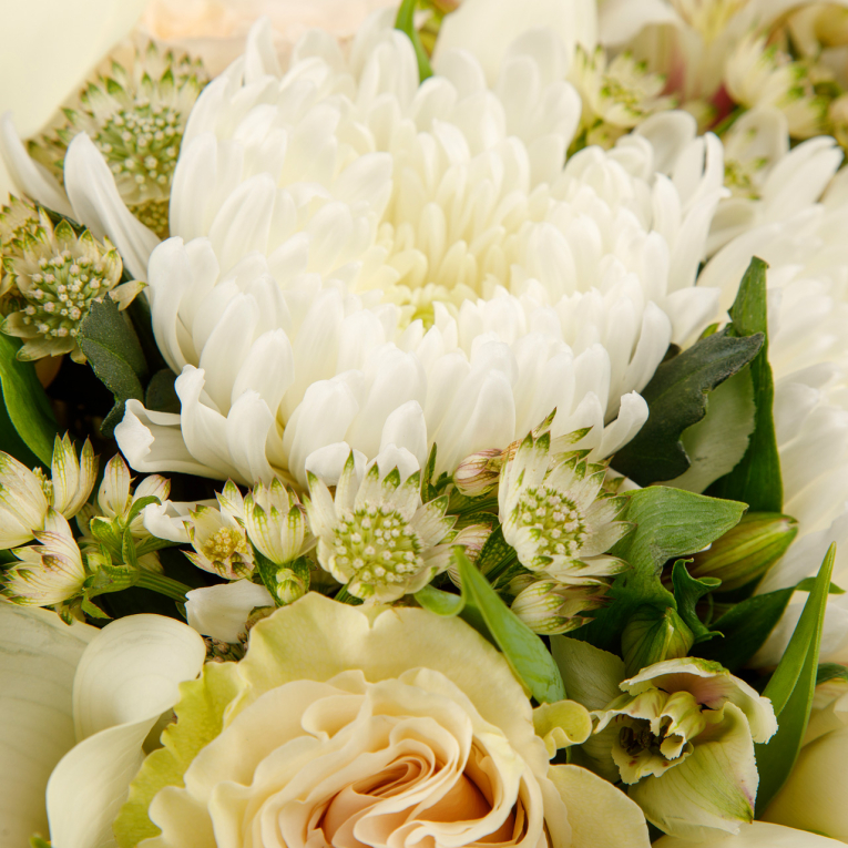 Букет Одиннадцать минут