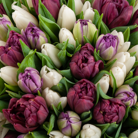 Букет 101 тюльпан Дорога сна