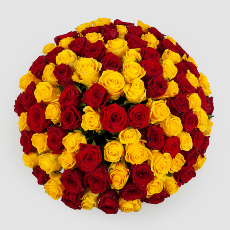 Букет из 151 розы Солнце Индии