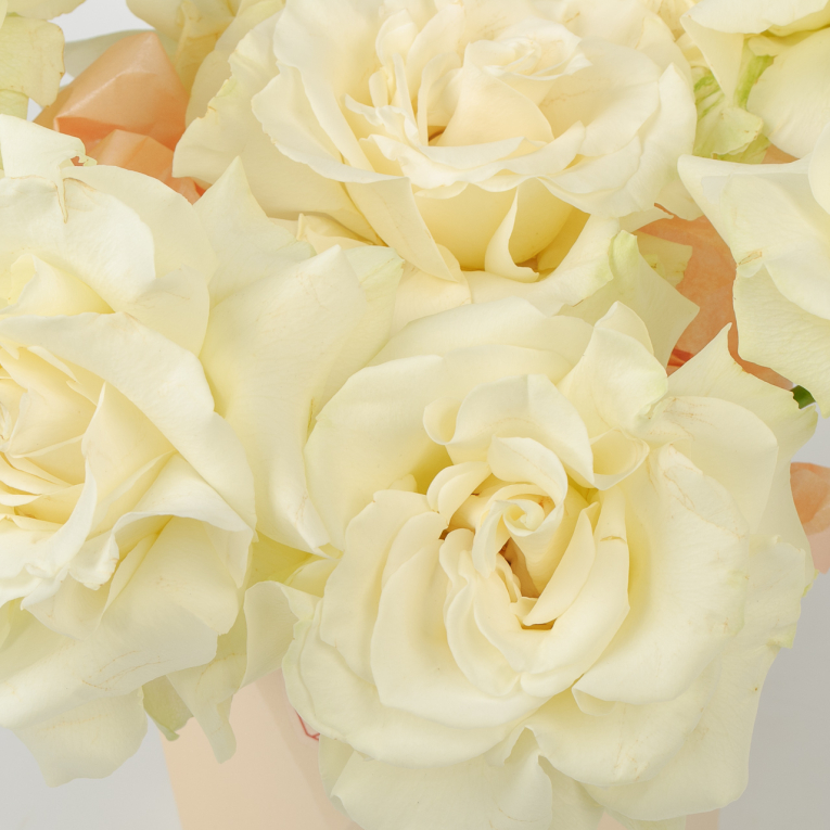 Букет в коробке Тихая река (7 роз)