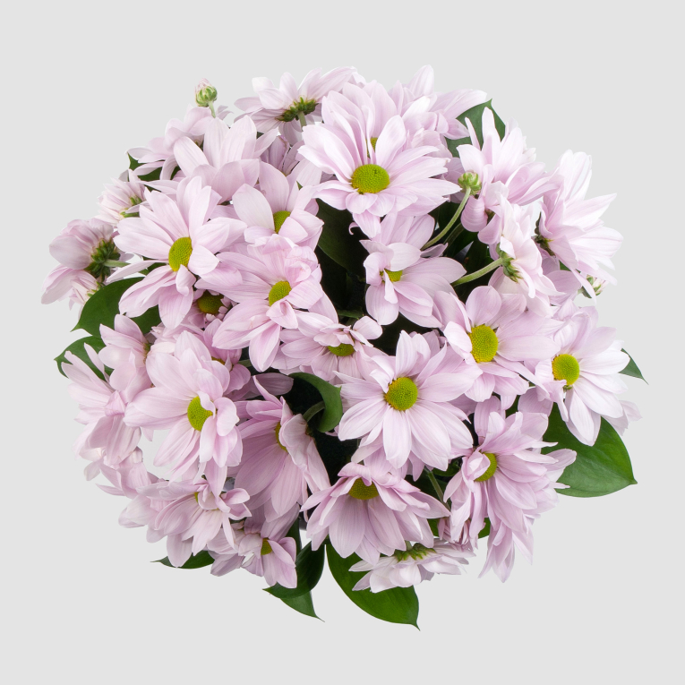 Букет в кашпо Седьмой лепесток