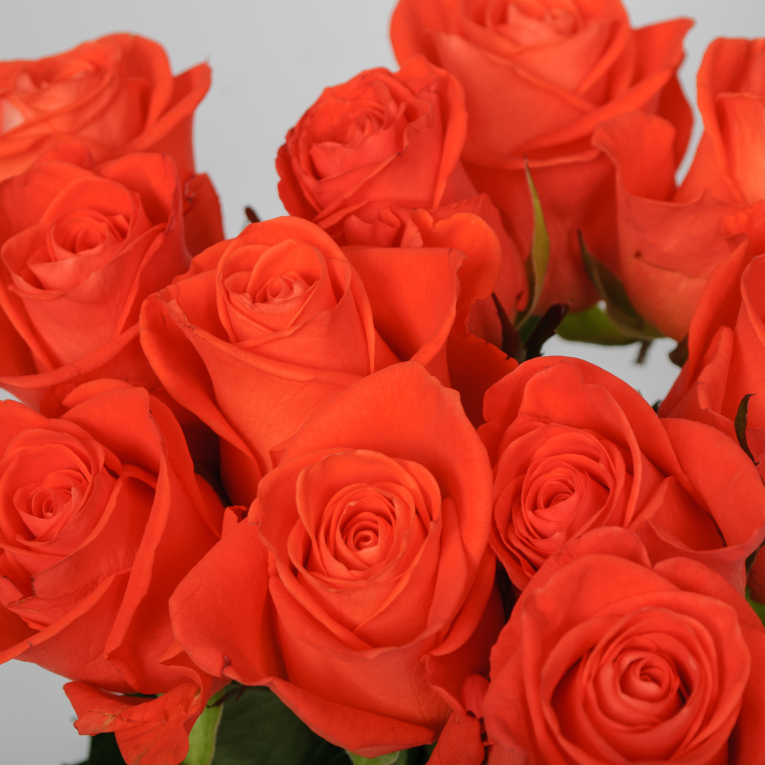 Букет 21 роза Вау