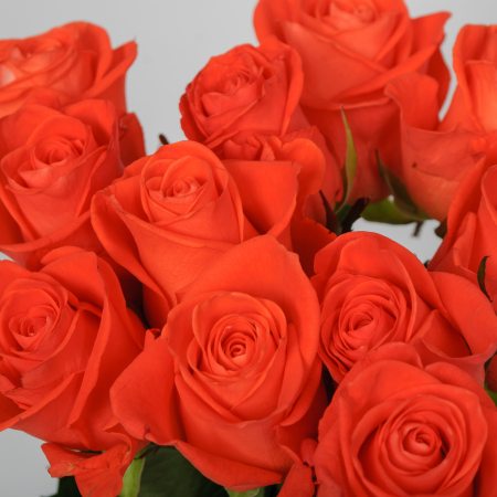 Букет 21 роза Вау