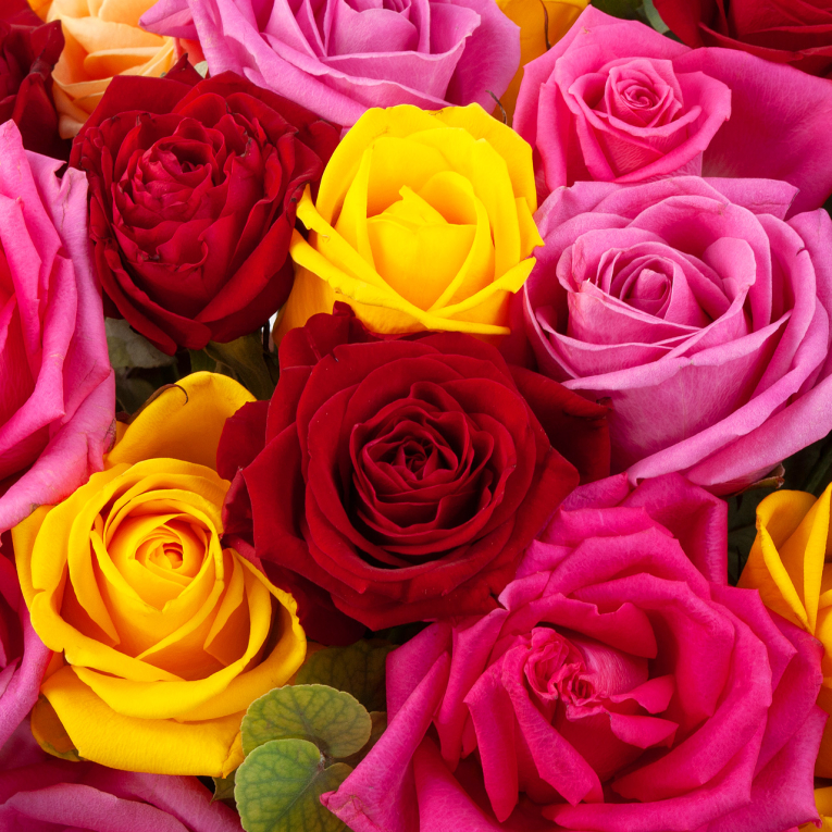 Композиция в кашпо Любовь художника