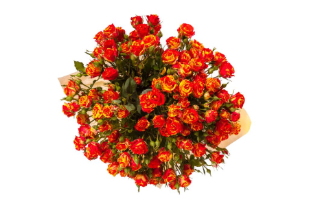 Букет 15 кустовых роз Фаер Флеш