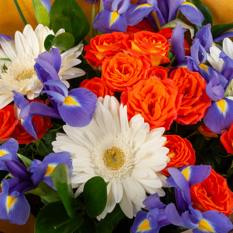 Букет Райская птица