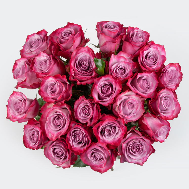 Букет 25 роз Дип Перпл (Эквадор), 60 см
