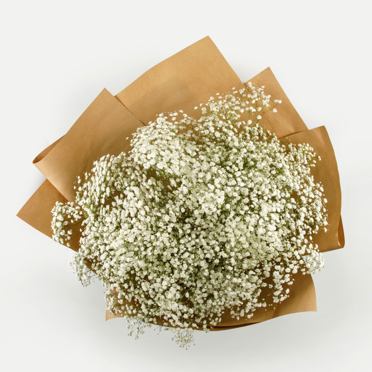 Букет из гипсофилы Белая дымка