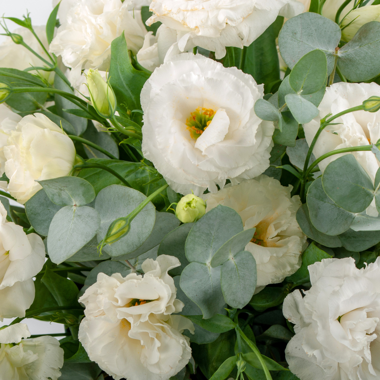 Букет в коробке Тонкое кружево