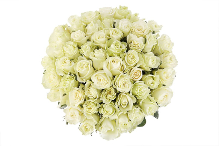 Букет 51 роза Мондиаль