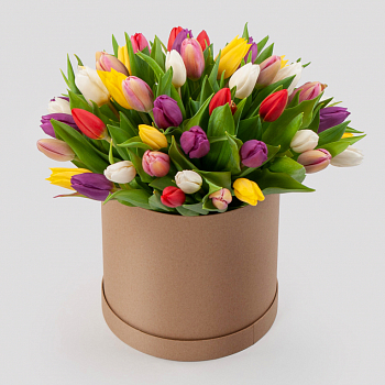 Букет 51 тюльпан в золотой коробке Нежные объятия