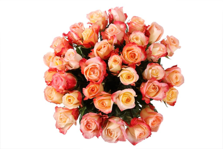 Букет 35 роз Кабаре