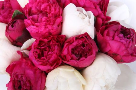 Букет Просто очаровательна