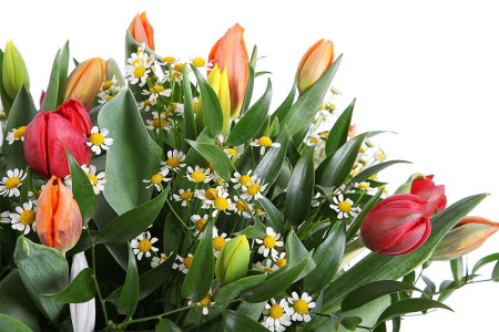 Букет Лесная поляна