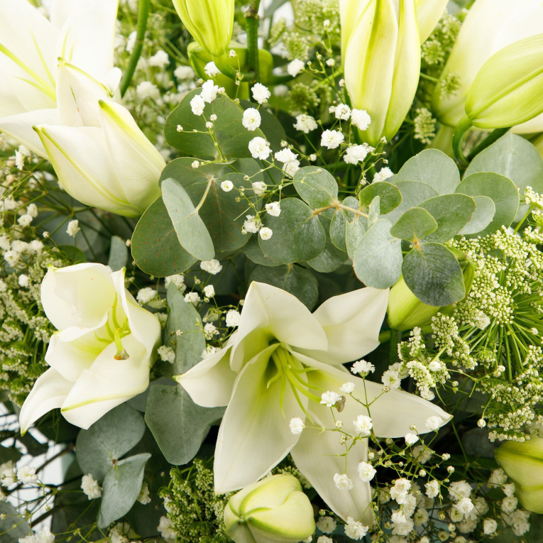 Цветы в коробке Песни невинности