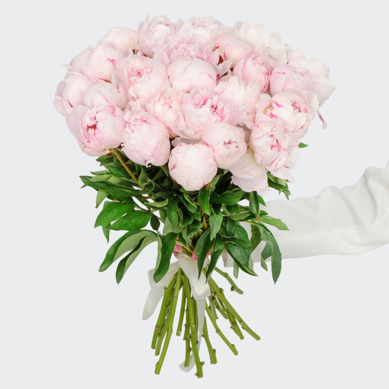 Букет из пионов 25 комплиментов