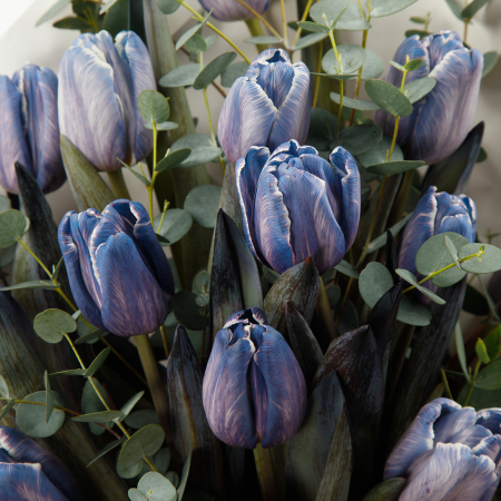 Букет из тюльпанов и эвкалипта Аметист