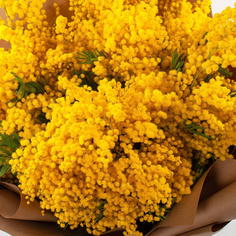 Букет мимозы Теплые объятия (макси)