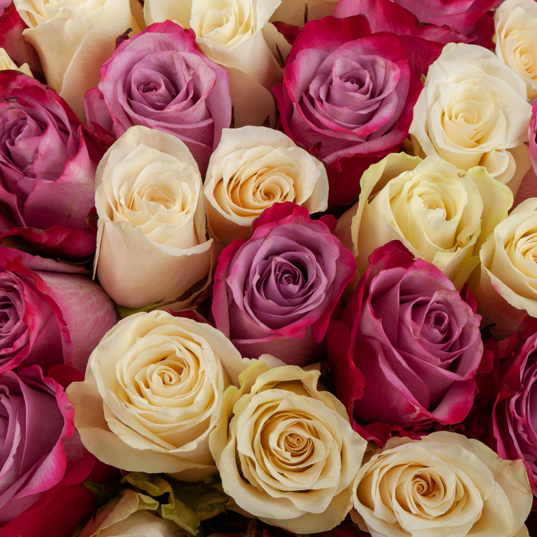 Букет из 101 розы Розовое домино