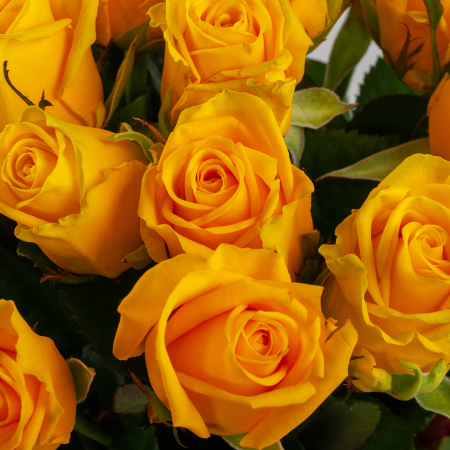 Букет из 25 роз Золото любви