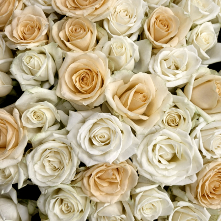 Букет 501 роза в корзине, белый микс