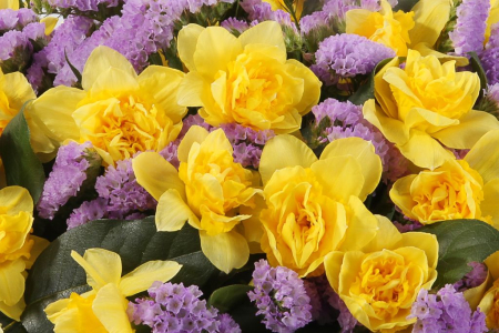 Букет с нарциссами Озеро Нарцисса