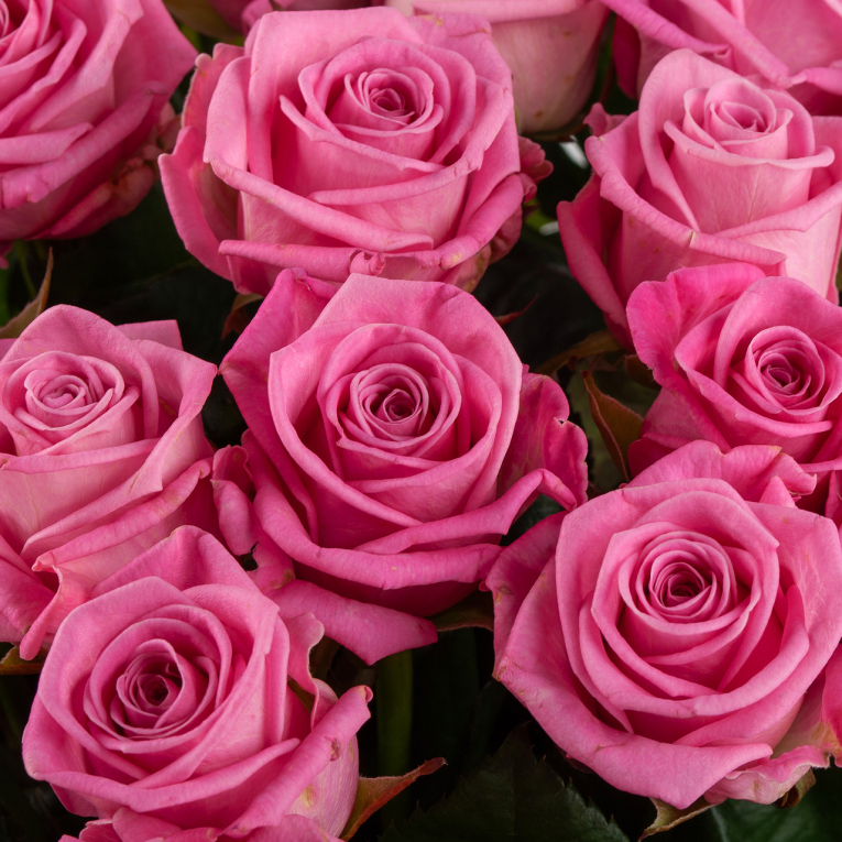 Букет из 51 розы Цвет сердца