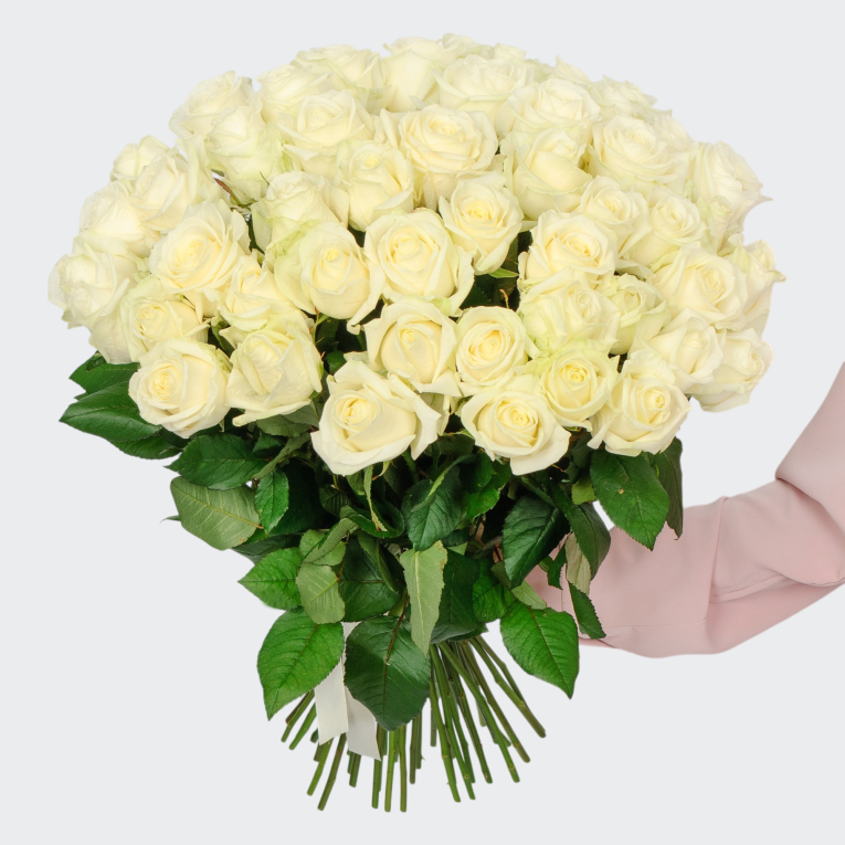 Букет 51 роза Аваланш 60/70 см