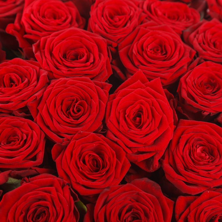 Букет 51 роза Люблю тебя