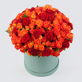 Букет в коробке Королева огней (51 роза)