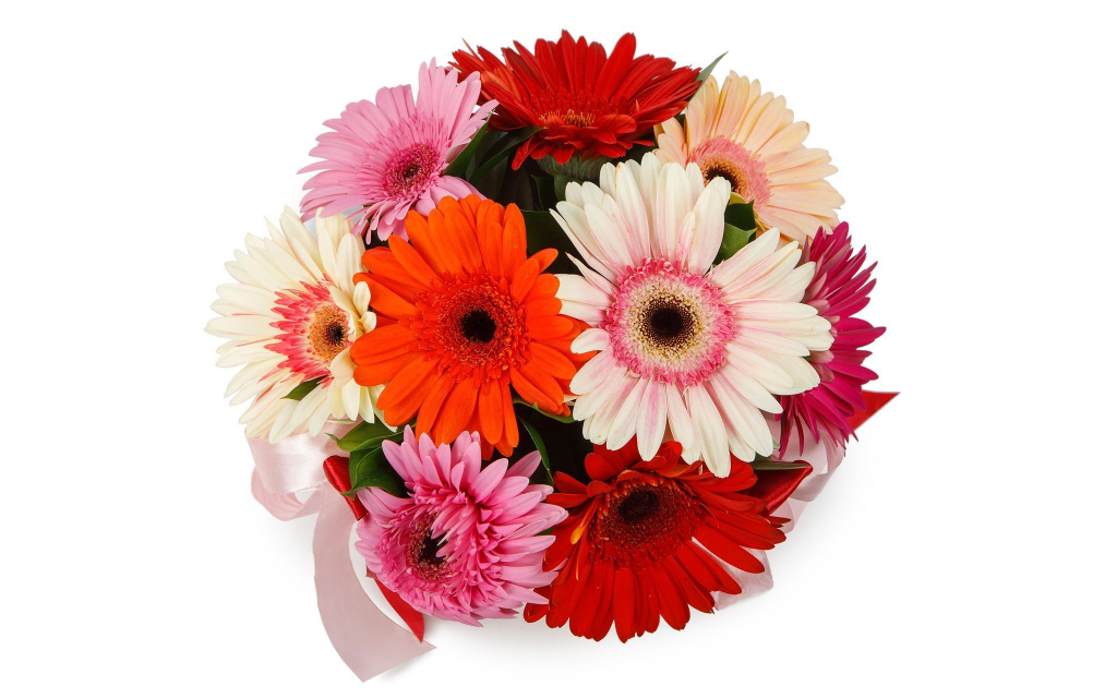 Цветы в коробке 9 гербер Раскраска