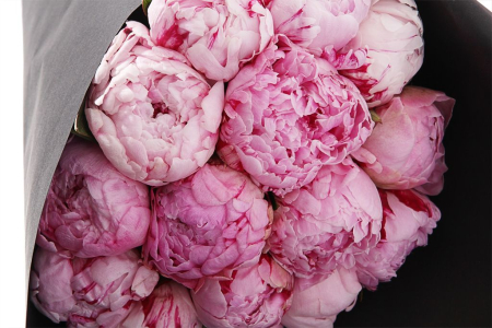 Букет из пионов Ночное признание