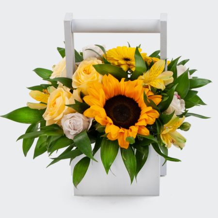 Букет в кашпо Солнце на ладони