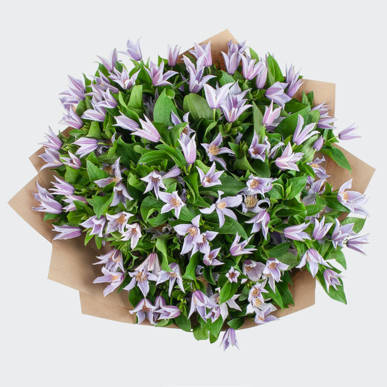 Букет Двенадцать месяцев