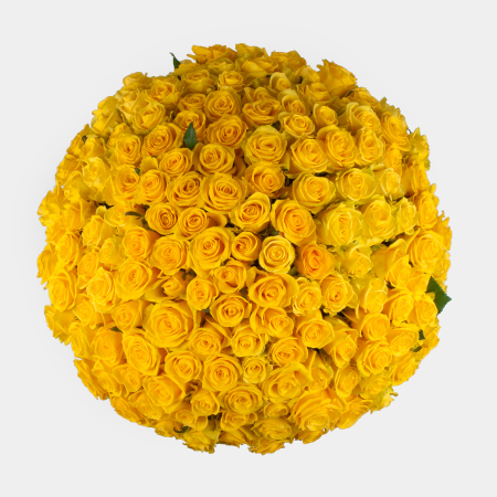 Букет в коробке Золотая карета (151 роза)