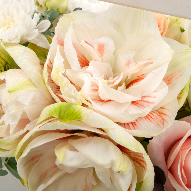 Композиция в кашпо Нежнее нежного