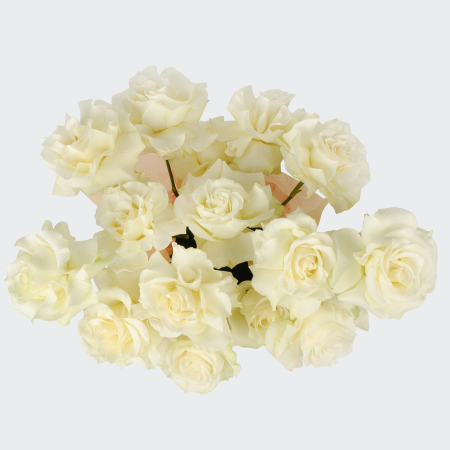 Букет в коробке Тихая река (15 роз)