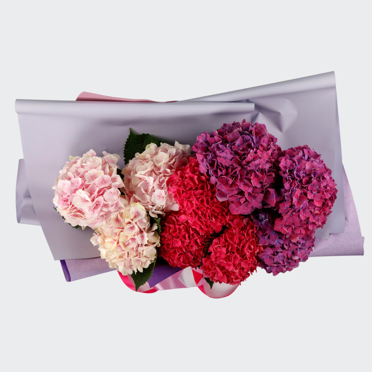 Букет из гортензии Свидание с мечтой