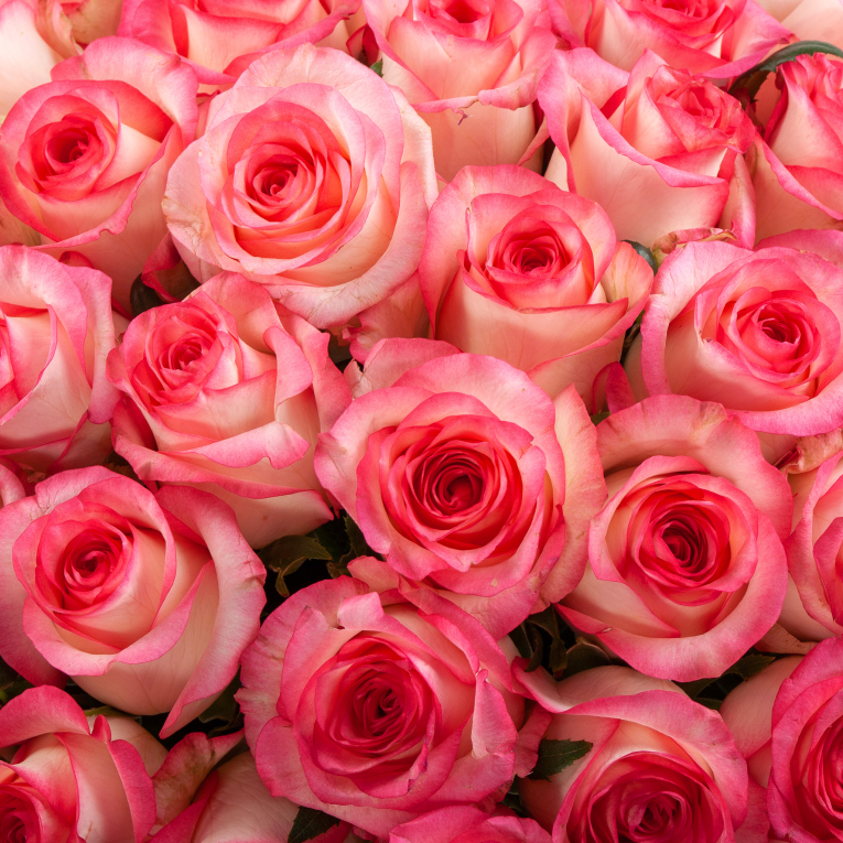 Букет из 101 розы Аллегория