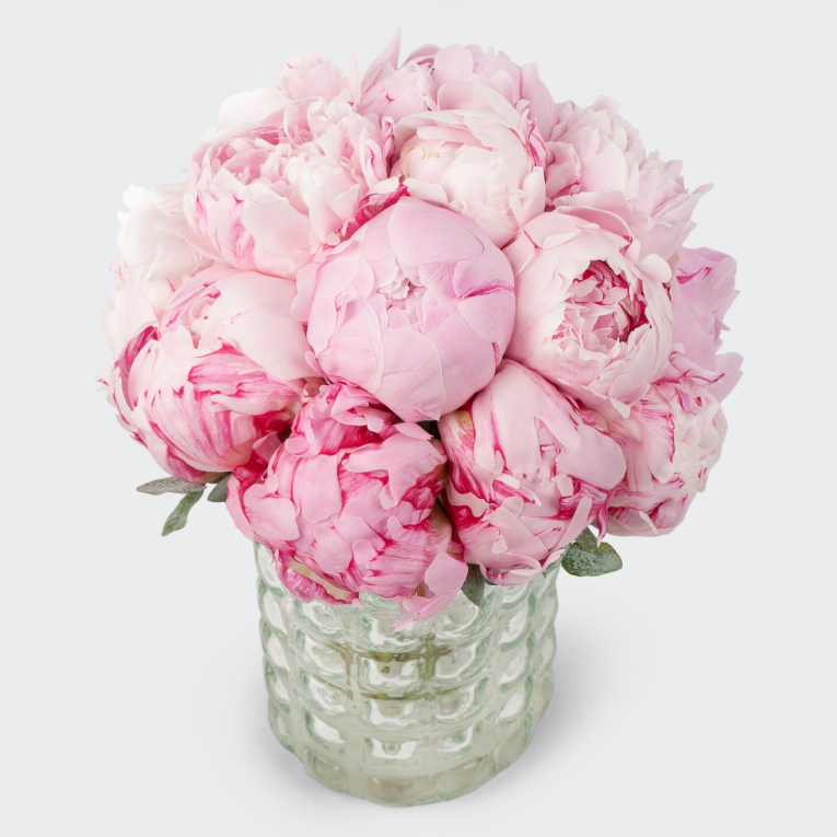 Букет невесты из пионов Мишель