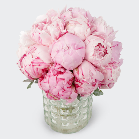 Букет невесты из пионов Мишель