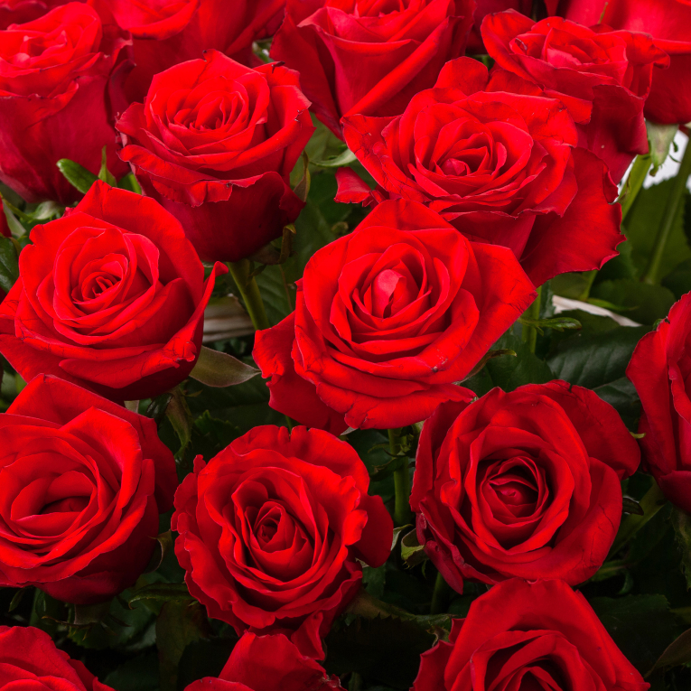 Букет в корзине Румба (101 роза)